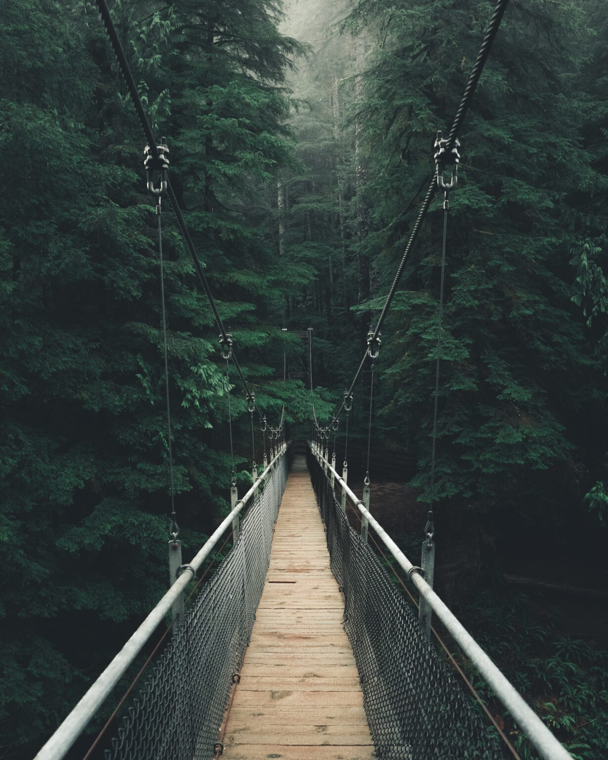 A point of view shot of a narrow suspension bridge in a thick beautiful forest